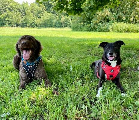 140. Foto Challenge - schattiges Plätzchen-Beitrag-Bild