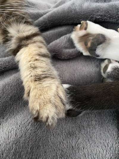 Fotochallenge Nr. 62 Romantische Momente-Beitrag-Bild