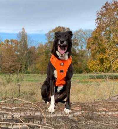 Her mit dem Grimassen-Beitrag-Bild