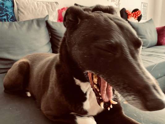 Fotochallange 84-Beitrag-Bild