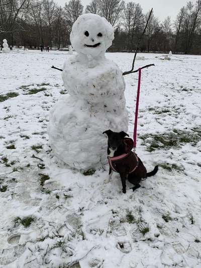 Dogorama Photo Challenge - Es wird nochmal kalt!-Beitrag-Bild