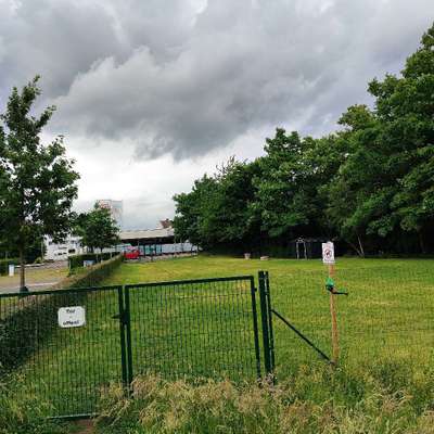 Hundeauslaufgebiet-Hundewiese am Campingplatz-Bild