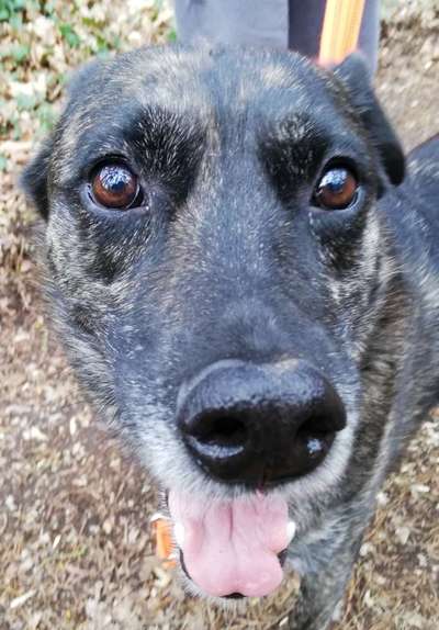 Fotochallange Nr. 57     PORTRÄT.   Beendet!!!!!!!!-Beitrag-Bild