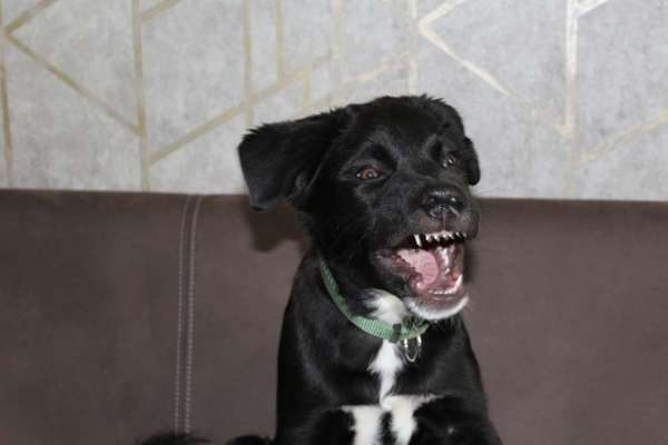 Lustige Grimassen & verrückte Posen-Beitrag-Bild