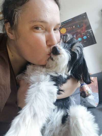 Challenge 33 - Du und dein Hund-Beitrag-Bild