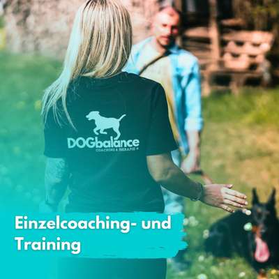 Giftköder-Einzelcoaching- und Training-Bild