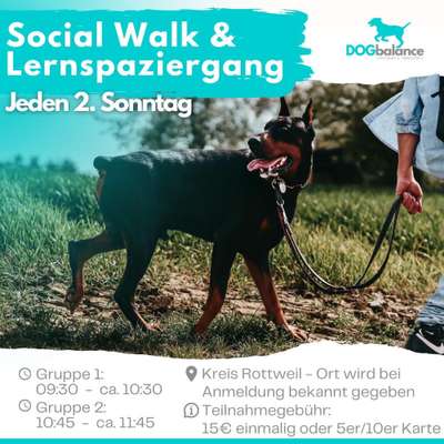 Giftköder-Social Walks und Lernspaziergänge-Bild