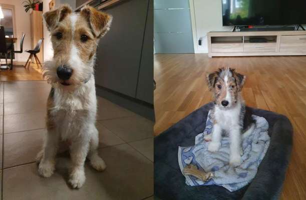 Vorher.... Nachher-Beitrag-Bild