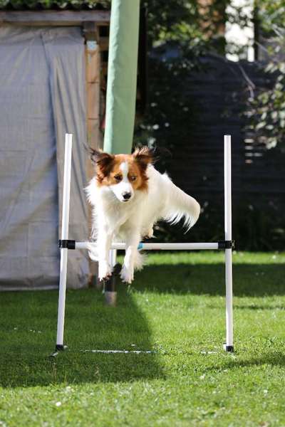 Fotochallenge Nr. 67: Euer Lieblingsbild-Beitrag-Bild