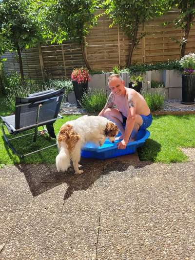 Foto-Challenge Nr. 90: Lebensfreude-Beitrag-Bild