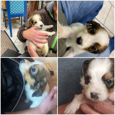 Foto Challenge 82-Beitrag-Bild