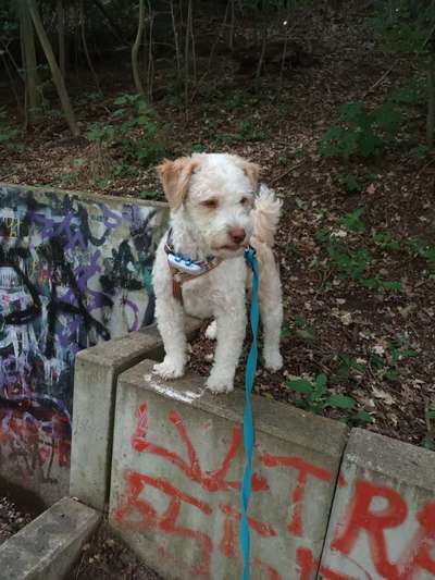 Zeigt eure Portraits-Beitrag-Bild