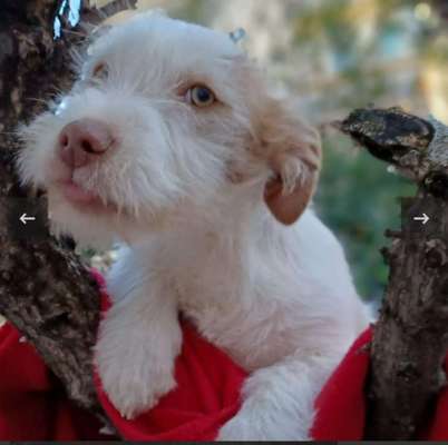 Doppelgänger gesucht !-Beitrag-Bild