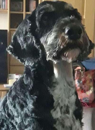 Zeigt eure Portraits-Beitrag-Bild