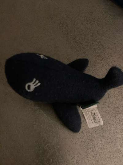 Spielzeug welches lange hält?-Beitrag-Bild