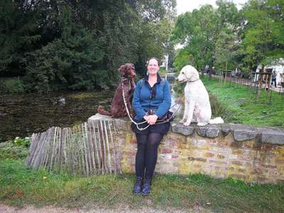 Hundetreffen-Übungs-Spaziergang-Bild