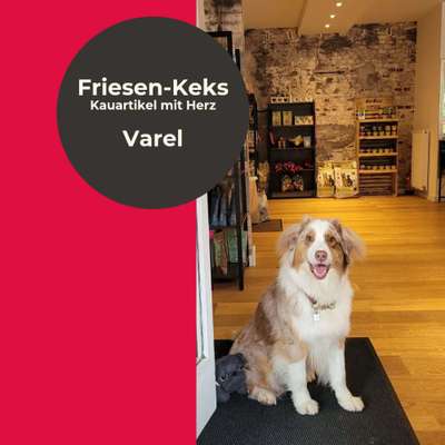 Hundeshops-Friesen-Keks - DOGs & friends-Bild