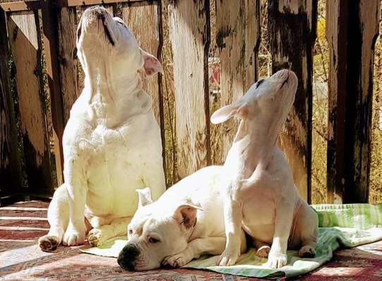 Handy-Foto-Challange Nr. 8-Beitrag-Bild