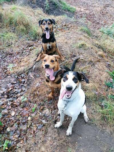 Handyfoto challenge Nr. 13: Waschlappen raus!-Beitrag-Bild