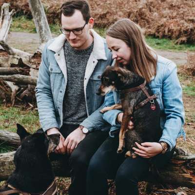 Hundetreffen-Gassirunde