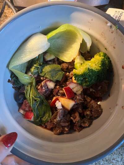 Zeigt her Eure Futternäpfe-Beitrag-Bild