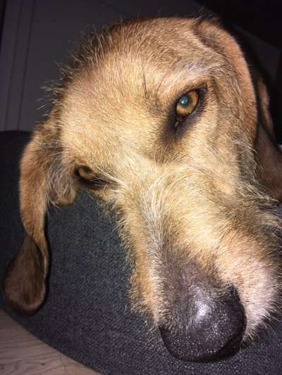 Zeigt eure Portraits-Beitrag-Bild