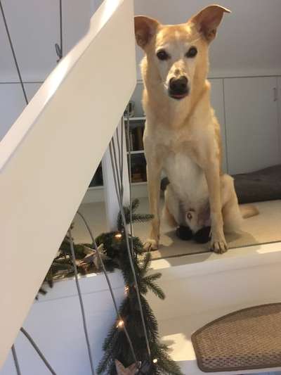 21. Handy-Foto-Challenge-Beitrag-Bild