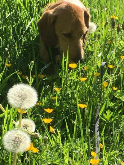 Handy-Foto-Challange Nr.9-Beitrag-Bild