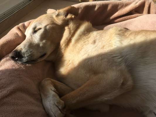 28. Farben Foto Challenge * BEIGE *-Beitrag-Bild