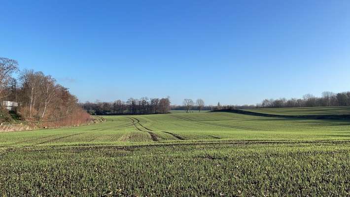 Hundeauslaufgebiet-Auf'm Kamp-Bild