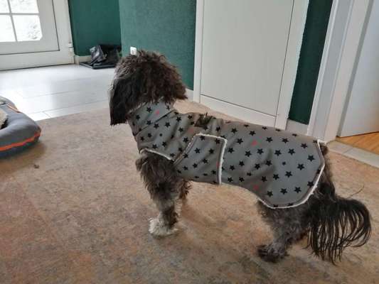 Schnittmuster für selbstgenähte Hundejacke gesucht-Beitrag-Bild