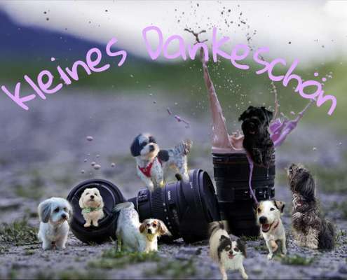 Photoshop und Co.-Beitrag-Bild