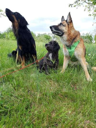 Challenge 30  Freundschaft-Beitrag-Bild