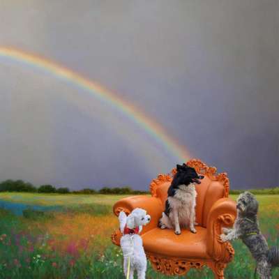 Freundschaftsanfragen-Beitrag-Bild