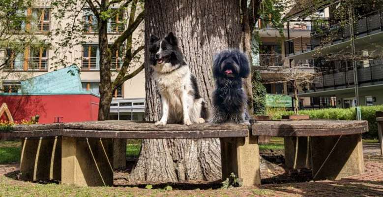 Freundschaftsanfragen-Beitrag-Bild