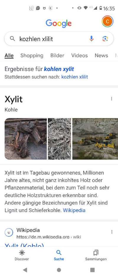 Blumenerde mit Xylit gefressen-Beitrag-Bild
