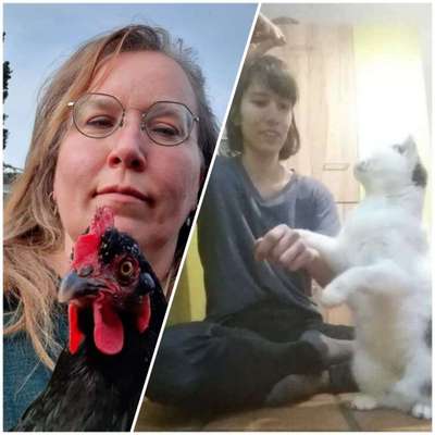 Trick Challenge Nr. 20   "Selfietrick"-Beitrag-Bild