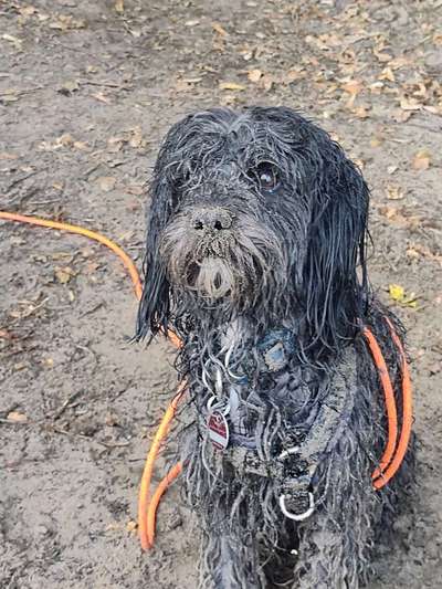 Fotochallenge Nr.105  Glücksmomente-Beitrag-Bild