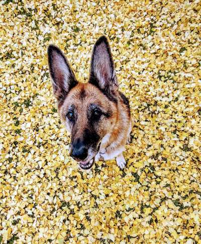 Handy-Foto Challange Nr. 10-Beitrag-Bild