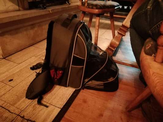 Tragtuch für Welpen-Beitrag-Bild