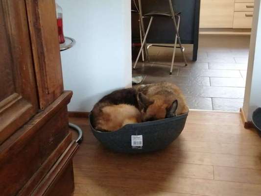 Hier ist der Spaßthread. Zum Schmunzeln und Kaputtlachen-Beitrag-Bild