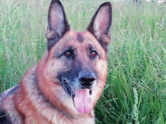 Moviestar-Pics!-Beitrag-Bild