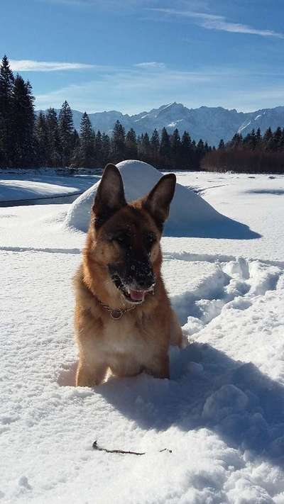 Theos  Fotochallenge Nummer 2-Beitrag-Bild