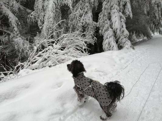 Zeigt euer coolstes winteroutfit-Beitrag-Bild