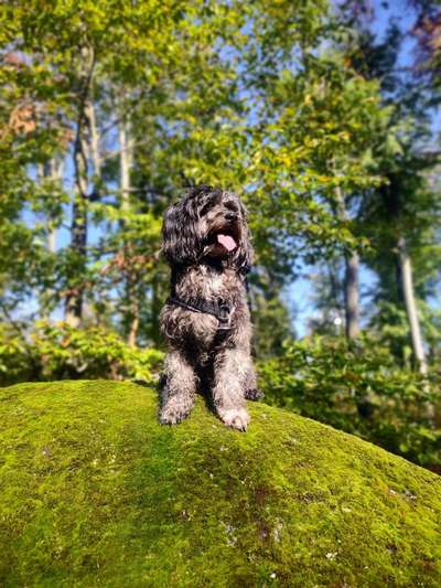 Farben Fotochallenge Thema ,,Grün"-Beitrag-Bild