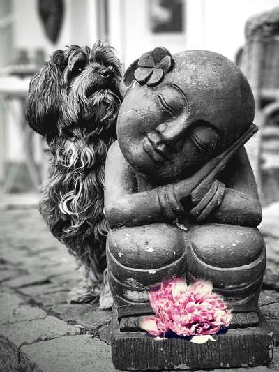 6. Farben Foto Challenge: "ColourKey Effekt"-Beitrag-Bild