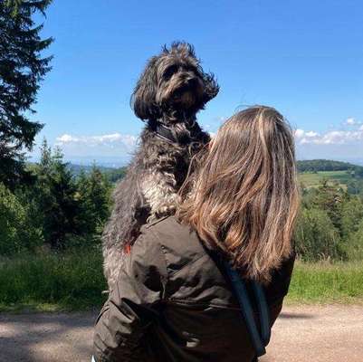 Dogorama Photo Challenge - Gassipause-Beitrag-Bild