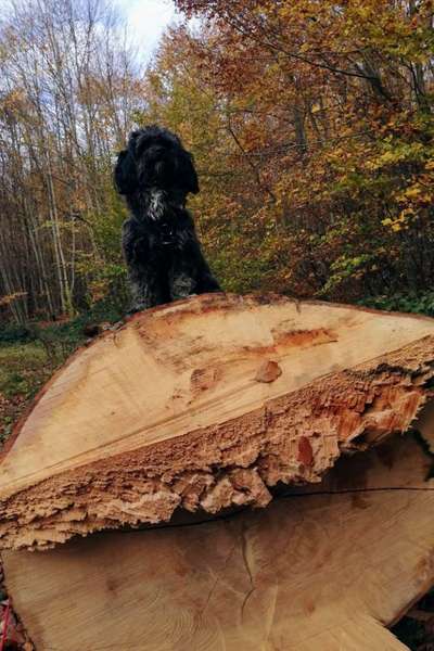 Theos Fotochallenge Nr. 3-Beitrag-Bild