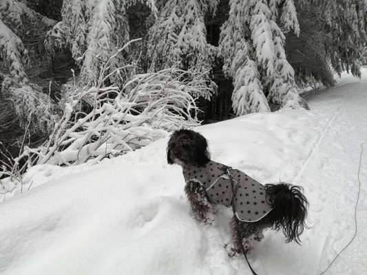 Pullis, Jacken, Hütte und alles sonstiges-Beitrag-Bild