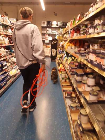 Fotochallenge 108: Starkes Team-Beitrag-Bild